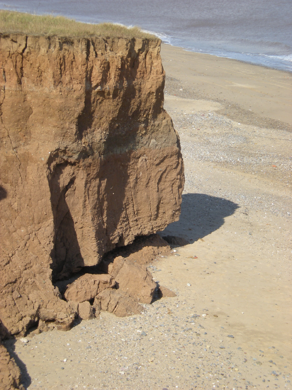  Holderness-1-6 (582x776).jpg 
